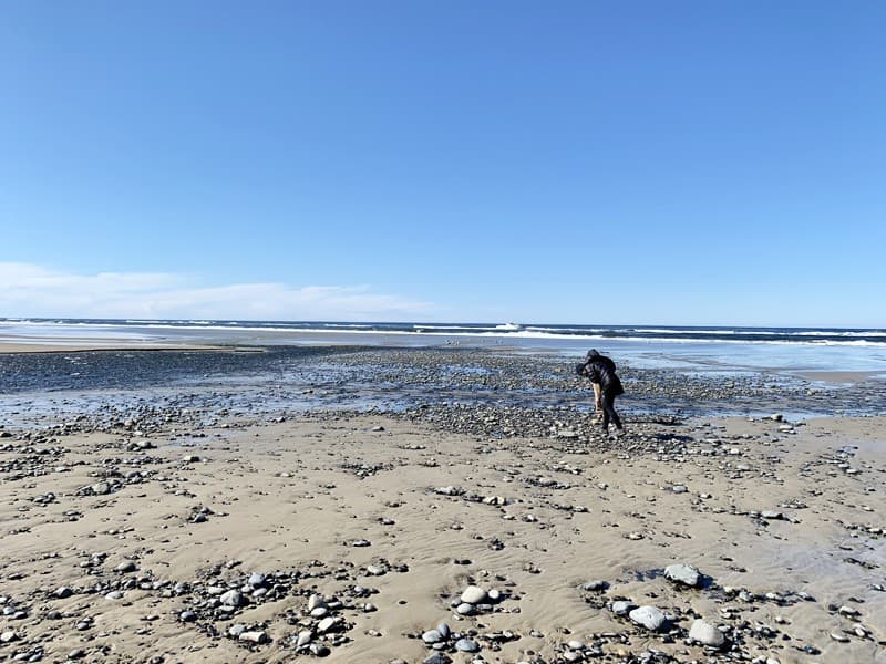Oregon Coast Agate Hunting