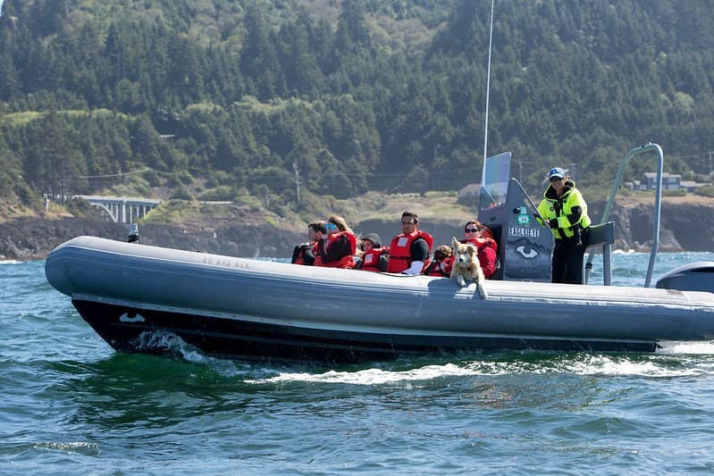 The Best Things to See and Do in Depoe Bay