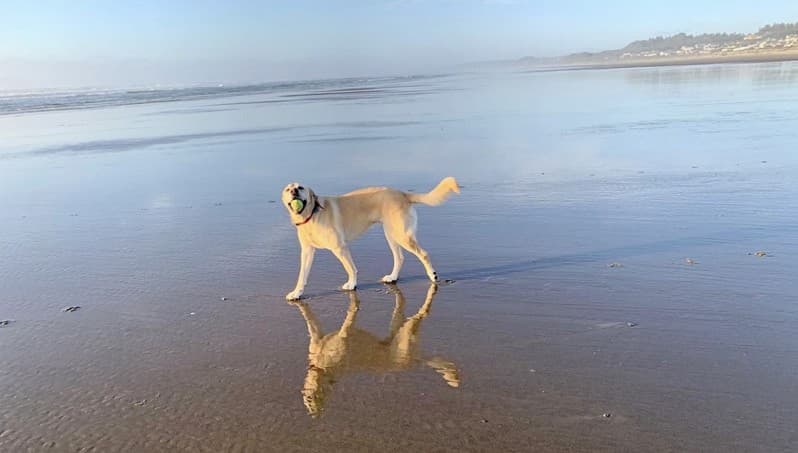 Waldport, Oregon: The Best Things to Do, See and Eat